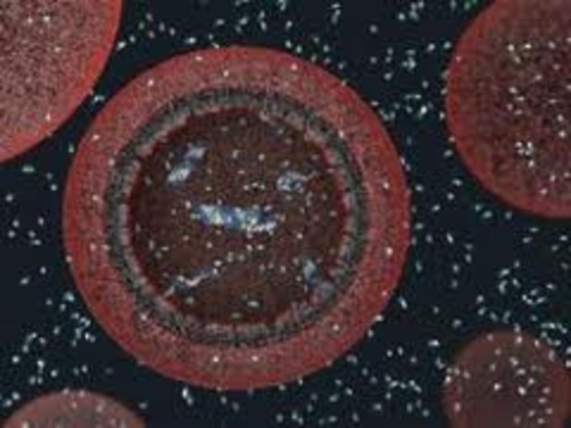 Orgin of life (first cells) 3900 MYA