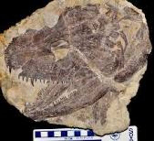 Mississipian Period 360 MYA