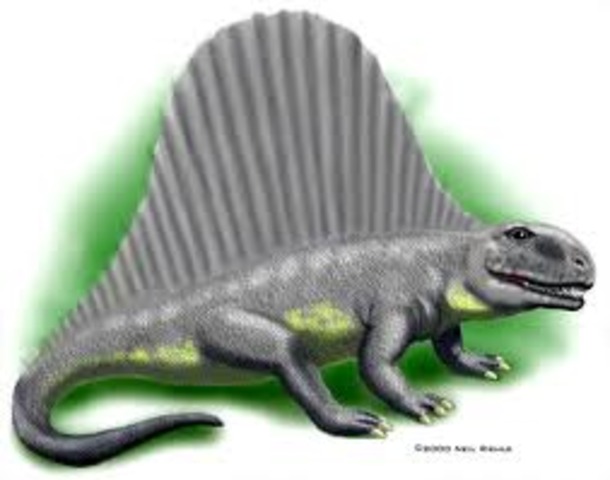 Pennsylvanian Period