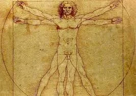 “Hombre de Vitruvio”. Leonardo Da  Vinci