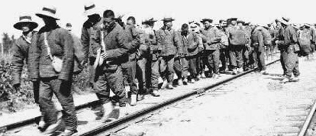 The Chinese Head Tax