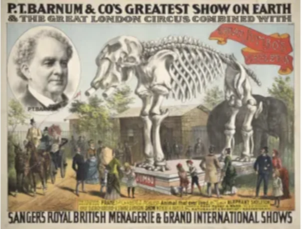 Jumbo the Elephant is Killed by a Train