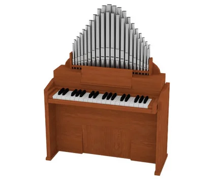 Organ