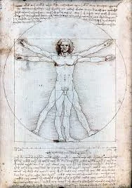 “Hombre de Vitruvio”. Leonardo Da  Vinci