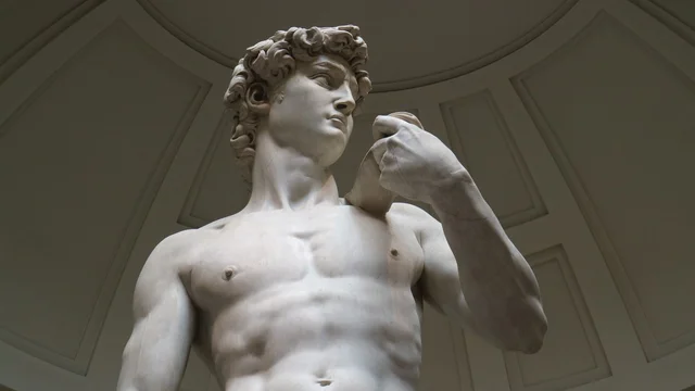 “El David de Miguel Ángel”.  Michelangelo Buonarroti