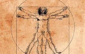 Hombre de Vitruvio”. Leonardo Da  Vinci