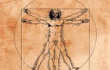 “Hombre de Vitruvio”. Leonardo Da Vinci