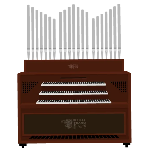 Organ