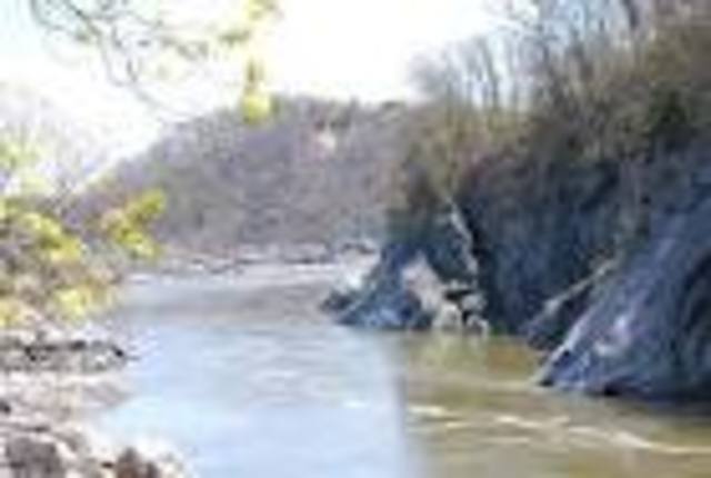 Move back to Maryland