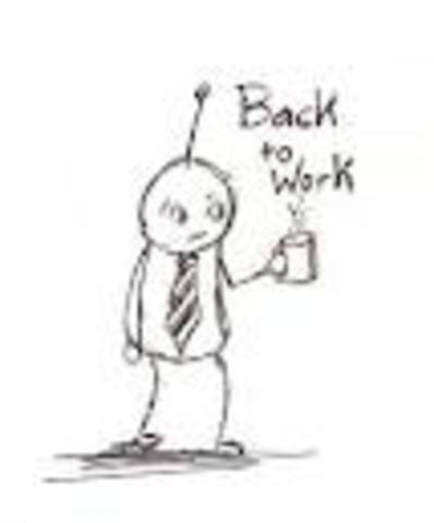 Wife opens restaurant in MD, I resume being a doggy doctor