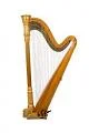Harp