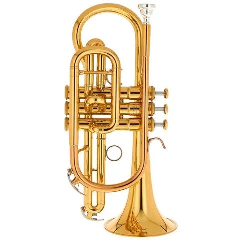 Cornet