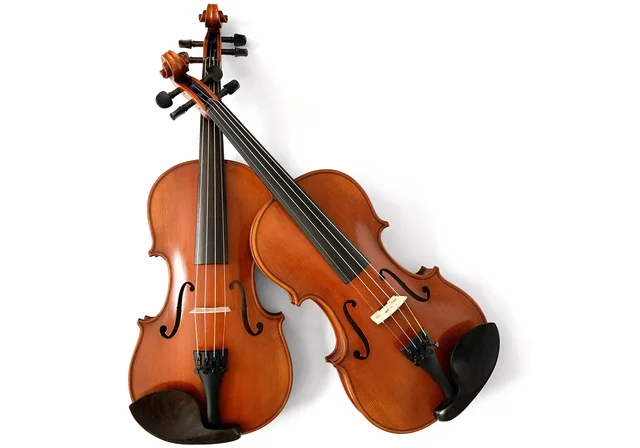 Violin