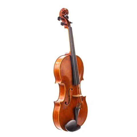 Viola