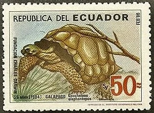 Ecuador. The first Congress of Ecuador