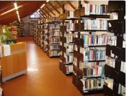Aumentaron las Bibliotecas 1981