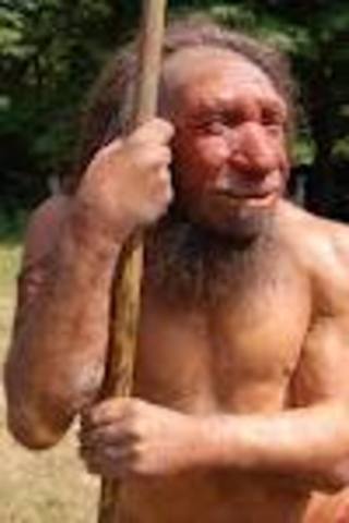 neandertal