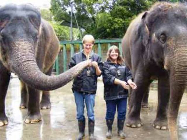 Aukland zoo safari night