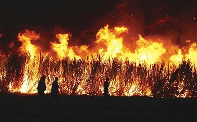 Jose Marti leads Cuban Rebellion