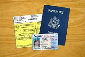 Voter ID Laws