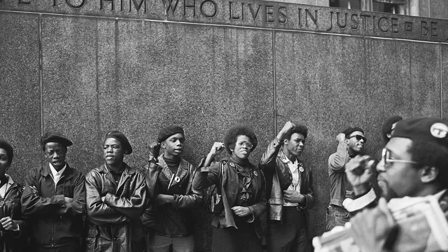 the black panther party
