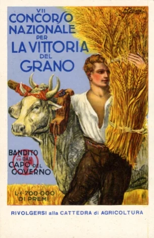 Battle for Grain