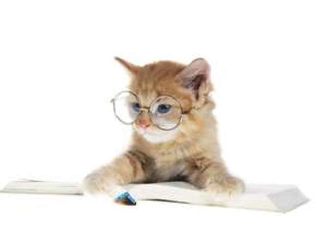 Comparing lessons to readings