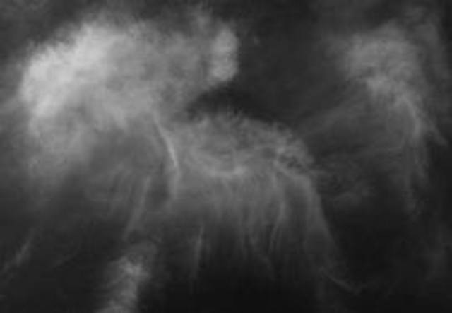 God watered the ground