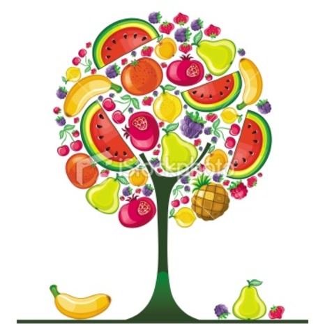 God created bushes and trees