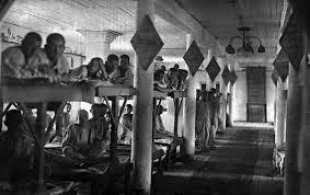 The Great Purge and gulags