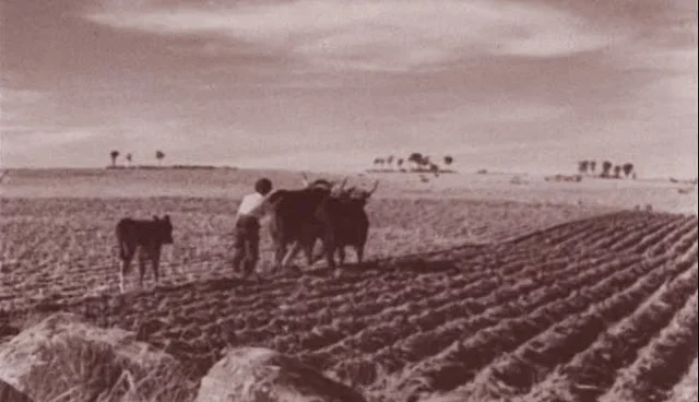 Ley de contratos de cultivo