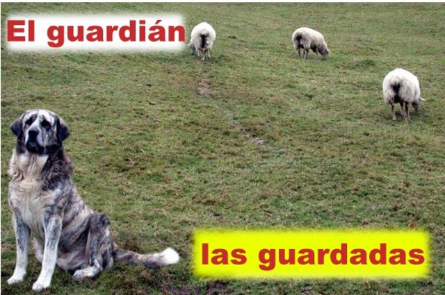 Práctica guiada 2.1