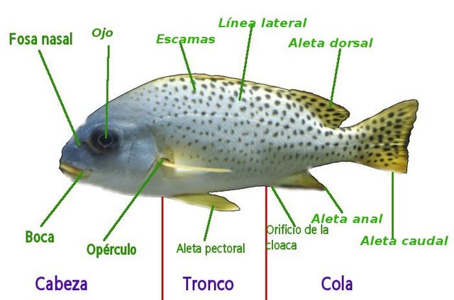 Práctica guiada 3.1