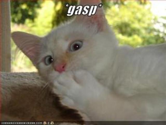 Blogging becomes in more depth