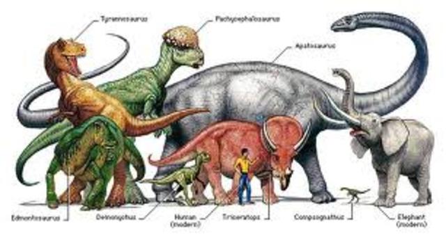 Mesozoic Era "The Age Of Reptiles" 245 MYA