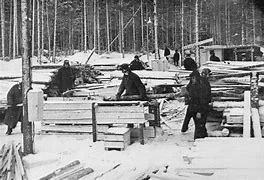 The great purge and gulags