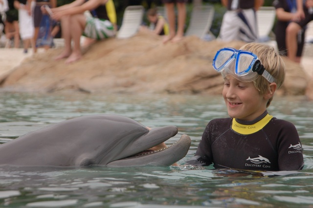 I swam with dolphins