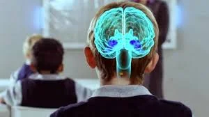 La neuroeducación apoya el desarrollo de las habilidades blandas en clase
