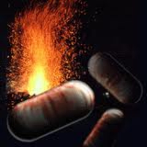 Prokaryotes 3600 MYA