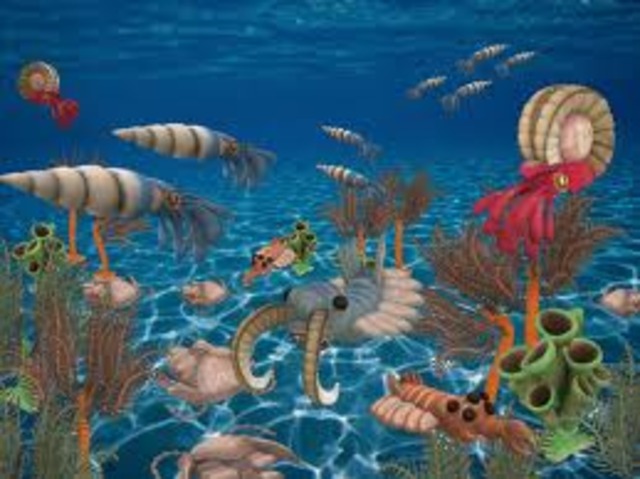 Paleozoic Era 544 MYA