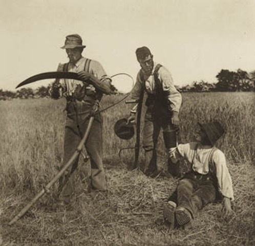 Americans begin investing in Cuban sugar