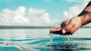 Clean Water Act (LAW)