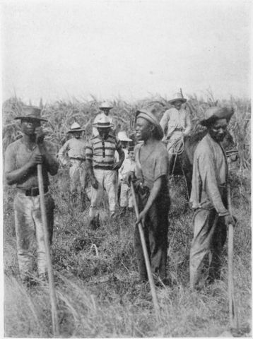 Abolition of Slavery in Cuba