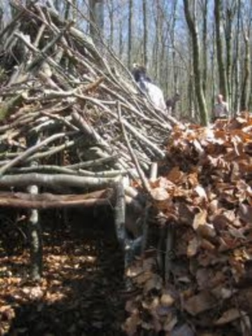 Brian builds a shelter