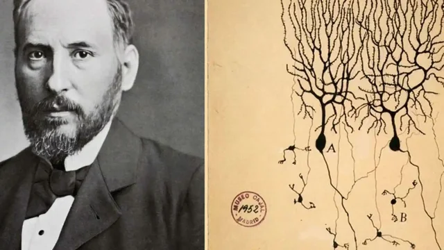 Santiago Ramón y Cajal