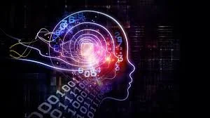 Crecimiento de la neuroplasticidad en la investigación clínica.