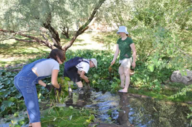 SCC degrees and certificates