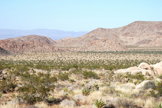 The narrator talks about camp green lake