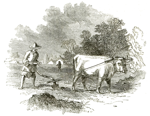 Pre-Industrializzazione (Prima del XIX secolo)