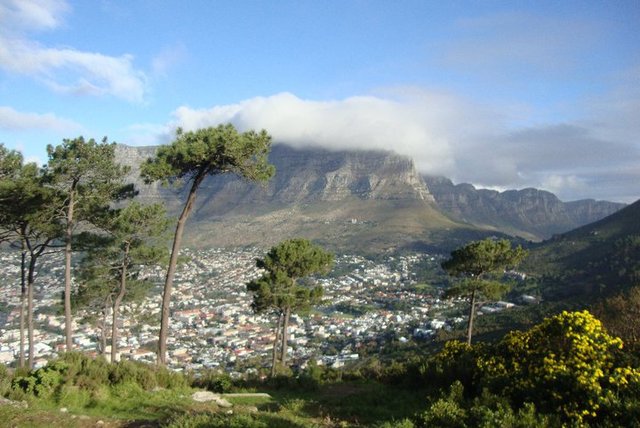 Fell In Love with South Africa